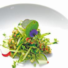 From Roots to Revolution: Unveiling “Plant-Based” Origins