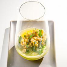 Wellness Shots Uncovered: Boost Health in a Tiny Sip