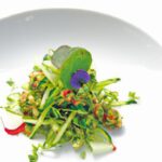 From Roots to Revolution: Unveiling “Plant-Based” Origins