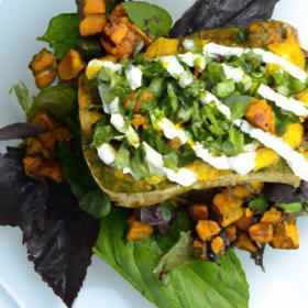 Plant-Based Foods: Shaping Tomorrow’s Dinner Plates